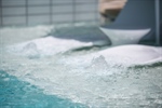 Keep Your Pool Safe: The Best Safety Equipment for Peace of Mind