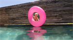Backyard Pool Safety for Parents